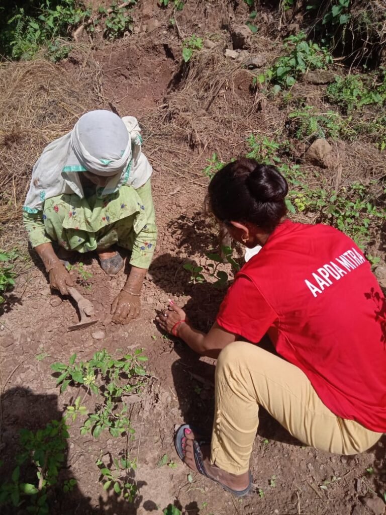 Ecological restoration in Kangra